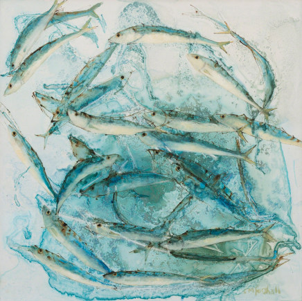 Catherine Forshall, Shoaling