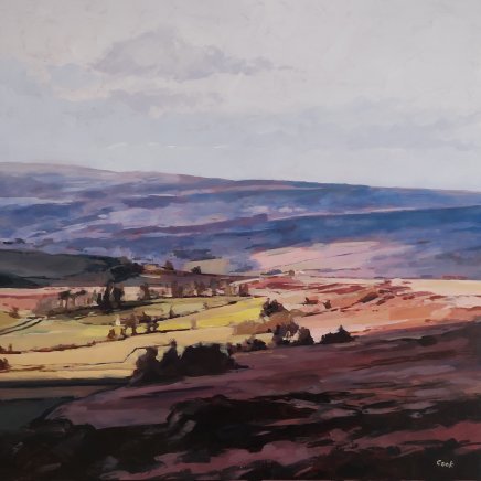 Colin Cook, Morning Light in Westerdale
