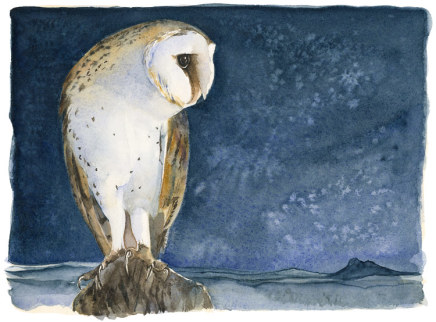 Jackie Morris & Robert Macfarlane, The Lost Spells - Barn Owl