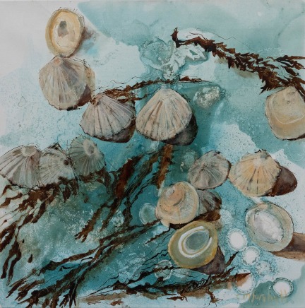 Catherine Forshall, Limpets