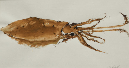 Catherine Forshall, Squid