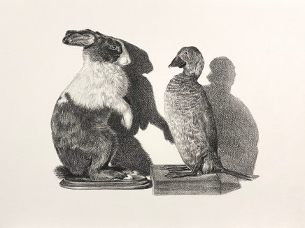 Yvonne East Australian Shadow self, rabbit and duck, 2024 Finalist for the Rick Amor Drawing Prize, exhibited at McClelland Gallery 2024 Charcoal on Fabriano paper 66 x 86cm