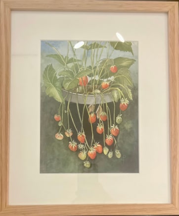 Charmaine Phillips AustralianEnglish Strawberries, 2022 Signed lower Watercolour on paper 40 x 36 cm