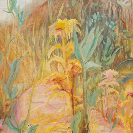 Joanna Cole b.1972- SA; Lives and works in Sydney, NSWSacred Thistle, 2023 Signed lower right; signed, titled and dated verso Oil on linen 120 x 120cm