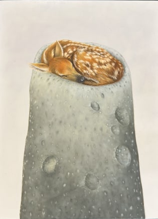 Tammy Whitworth, Hold, 2023