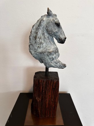 Helena Lillywhite, Equus I, 2024