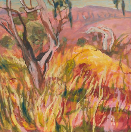 Joanna Cole b.1972- SA; Lives and works in Sydney, NSWExpat, Eucalypt in Andalucia, 2023 Signed lower right; signed, titled and dated verso Oil on board 60 x 60cm