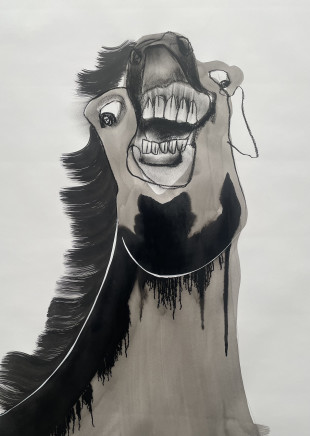 Brendan Kelly, Equine Portrait Variation, 2021