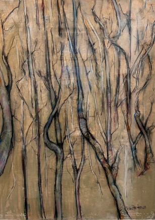 Peter Porteus, Forest , 2024