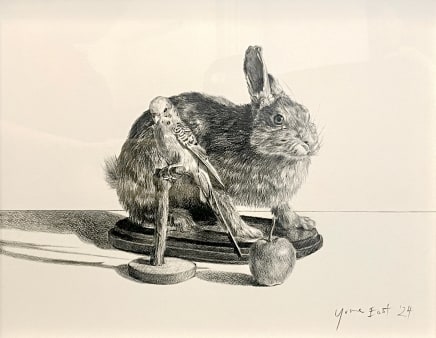 Yvonne East Australian Budgerigar, hare and apple, 2024 Charcoal on Fabriano cotton paper 48.5 x 39cm
