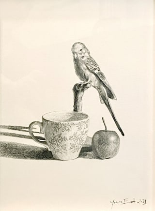 Yvonne East, Budgerigar, apple, teacup, 2023