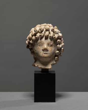 Hellenistic head of a youth, North Africa, c.3rd-2nd century BC