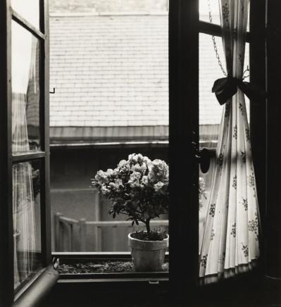 Emmanuel Sougez, Etude de fleurs, 1934
