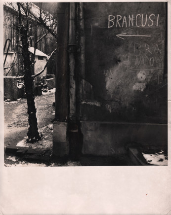 Florence Homolka, Brancusi's Studio, 1948