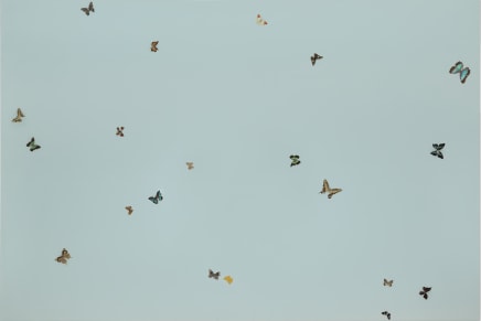 Damien Hirst, TBC, 2002