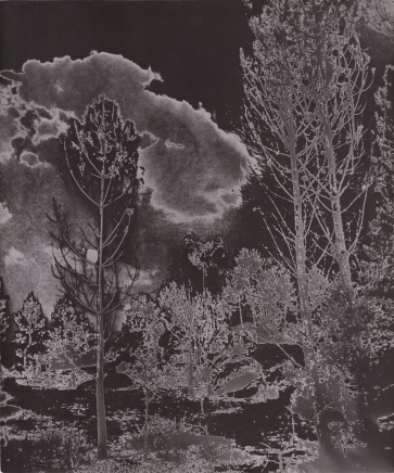 Marcel Bovis, Solarised Landscape (1), C.1930