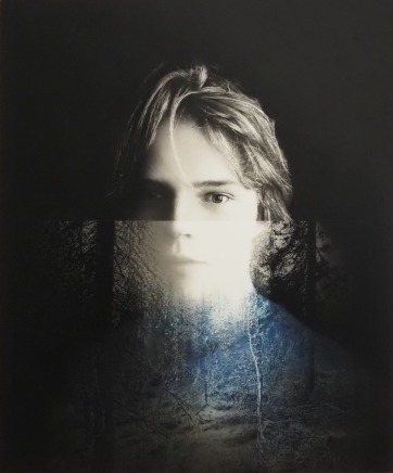 Yuichiro Sato, The Light in the Forest, 2024