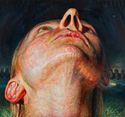 Johanna Saikkonen, Stargazing, 2024-2025