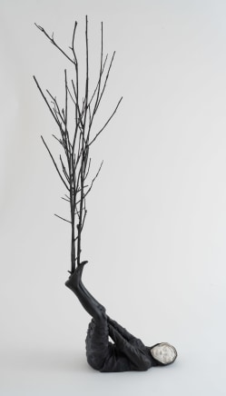Willy Verginer, From branch to branch, 2024