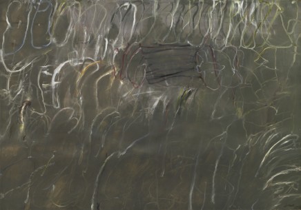 王川 Wang Chuan , 心绪 Mind, 2006