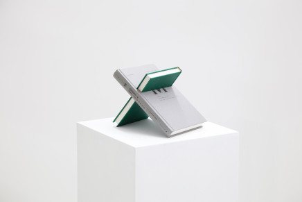 廖斐 Liao Fei , 2015
