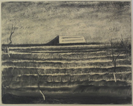 张雷 Zhang Lei , A Cement House in the Fields 田里的水泥房, 2013
