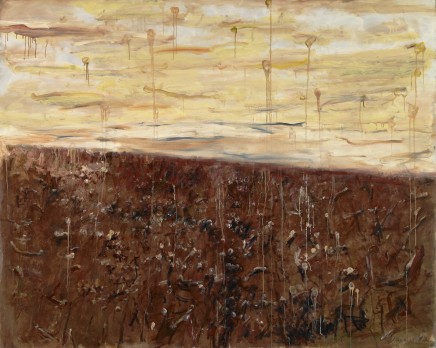 王川 Wang Chuan, 镜像 Phenomena, 2010-2012