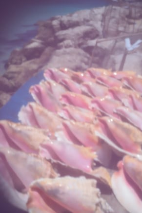 Christina Leslie, Pinhole #10, 2024