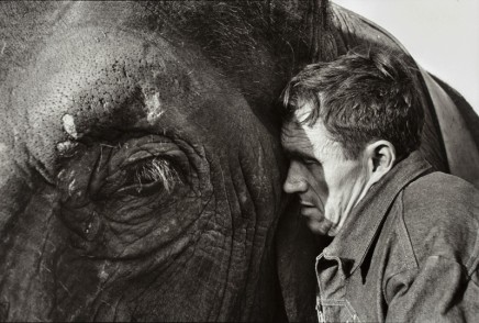 Jill Freedman, Untitled [Man with elephant], circa 1972