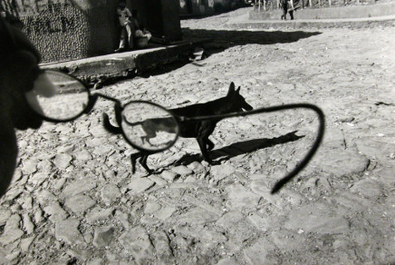 Larry Towell, Perquín, Morazán, El Salvador [dog/glasses], 1991