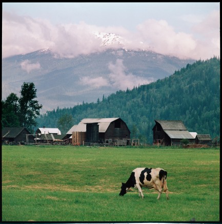 Peter Varley, Farm near Rvelstoke, British Columbia, circa 1963