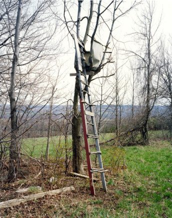 Vid Ingelevics, Platform 5A, 2002