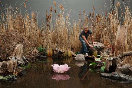 Max Dean, Swamp, 2014