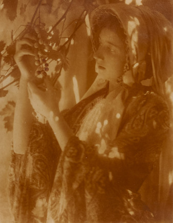 Minna Keene, Untitled, circa 1910