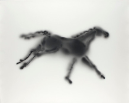 Alison Rossiter, Light Horse (From Eadweard Muybridge's Horses, Running, Sallie G), 2003