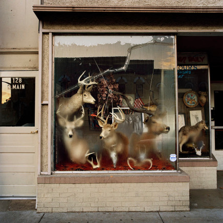 Phil Bergerson, Untitled, Martinsville, Indiana [deer heads inside foggy window], 2006