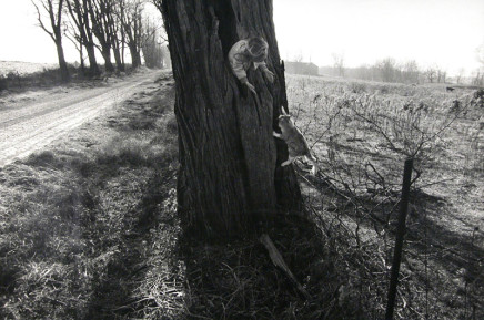 Larry Towell, Naomi in Hollow Tree with Cat, Lambton County, Ontario, Canada, 1990