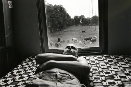 Larry Towell, Moses and Cows, Lambton County, Ontario, Canada, 1995