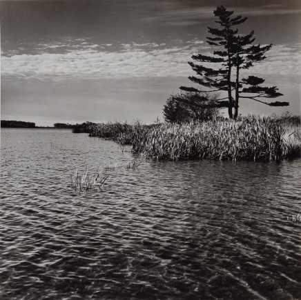 Peter Varley, Flooded areas, St. Lawrence Seaway, Quebec, circa 1963