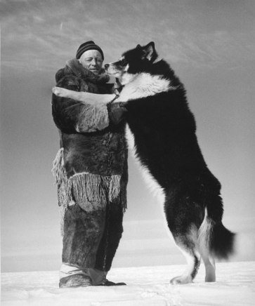 Richard Harrington, Trapper George Lush with his lead dog, 1950