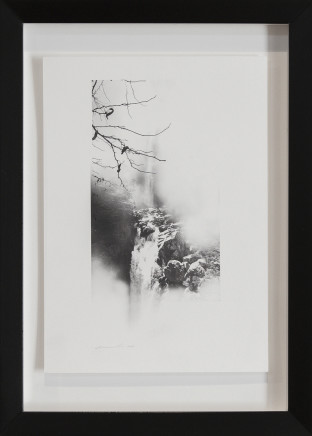 Simon Edwards, Study Waterfall (Maple), 2018