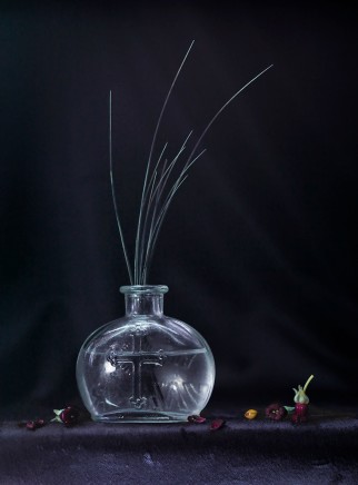 Fiona Pardington, Still Life with holy water and seal whiskers, 2014