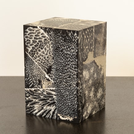 Chauncey Flay, Seawall #9 (black), 2024