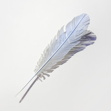 Neil Dawson, Blue Budgie Feather, 2020