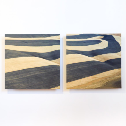 Elizabeth Thomson, Lateral Series - Simultaneity (diptych), 2022