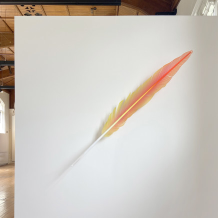 Neil Dawson, Macaw Tail Feather Red, 2019