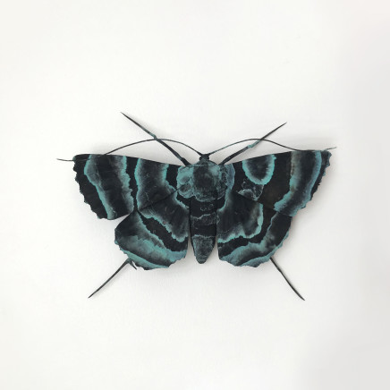 Elizabeth Thomson, Patina Moth 1, 2018