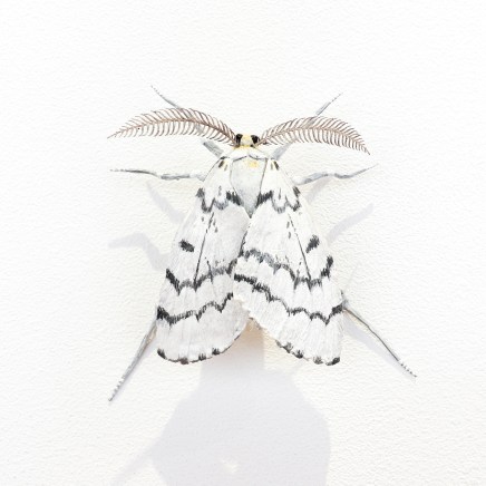 Elizabeth Thomson, Moth #29, 2020