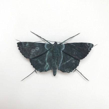 Elizabeth Thomson, Patina Moth 3, 2018