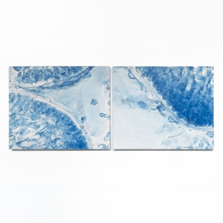 Elizabeth Thomson, Ocean of Eden, topographical study for the Aviatrix (diptych), 2012